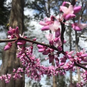 Meet your Posher, Ellen